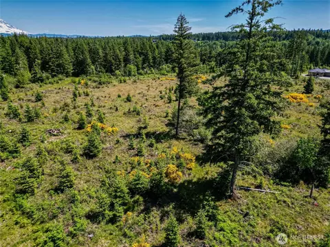 39507 18th Ave E, Roy, WA 98580 photo 17