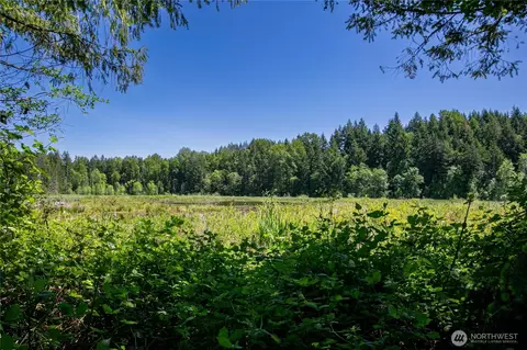 39507 18th Ave E, Roy, WA 98580 photo 9