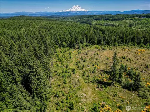 39507 18th Ave E, Roy, WA 98580 photo 4
