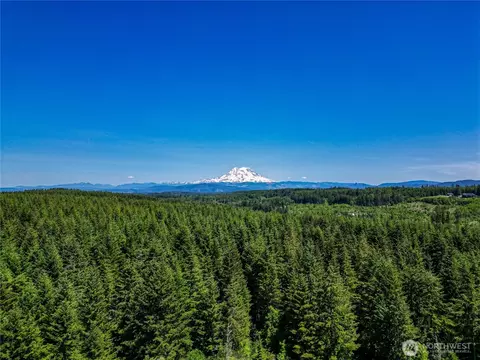 39507 18th Ave E, Roy, WA 98580 photo 6