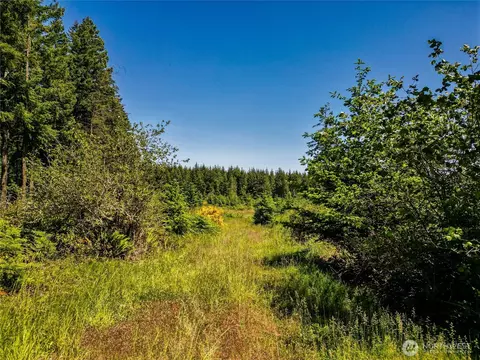 39507 18th Ave E, Roy, WA 98580 photo 15