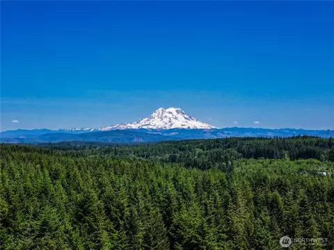 39507 18th Ave E, Roy, WA 98580 photo 5