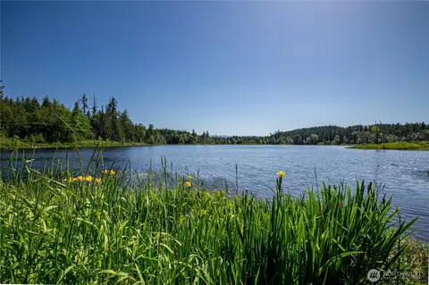 39507 18th Ave E, Roy, WA 98580 photo 10