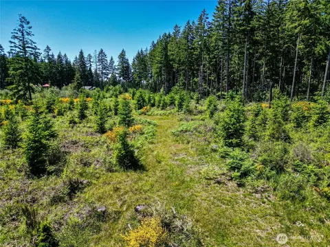 39507 18th Ave E, Roy, WA 98580 photo 22