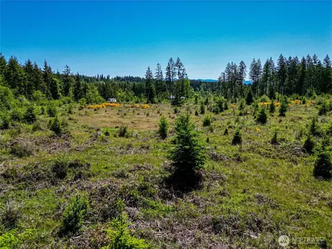 39507 18th Ave E, Roy, WA 98580 photo 21