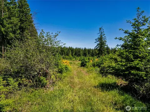 39507 18th Ave E, Roy, WA 98580 photo 14
