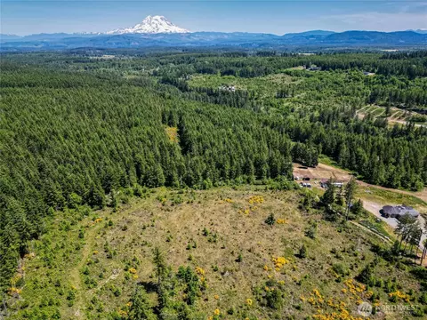 39507 18th Ave E, Roy, WA 98580 photo 26