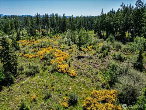39507 18th Ave E, Roy, WA 98580 photo 16