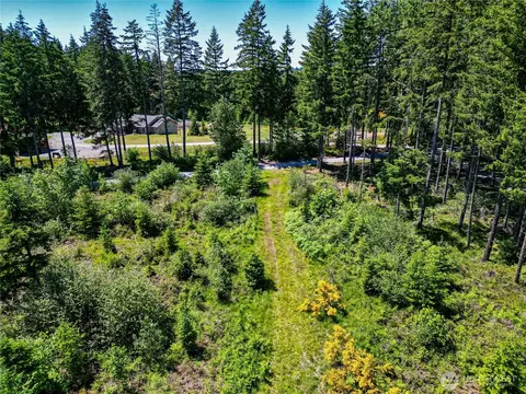 39507 18th Ave E, Roy, WA 98580 photo 19