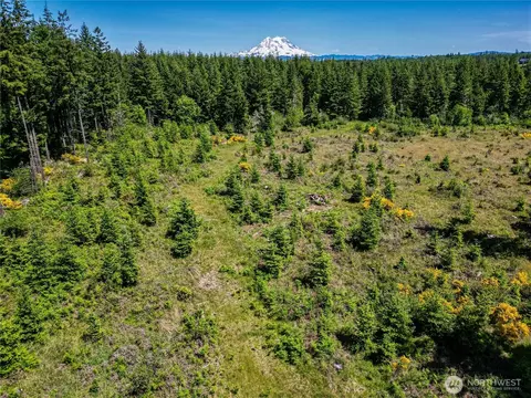 39507 18th Ave E, Roy, WA 98580 photo 18