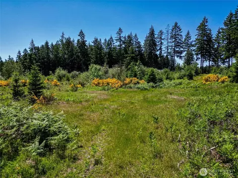 39507 18th Ave E, Roy, WA 98580 photo 24