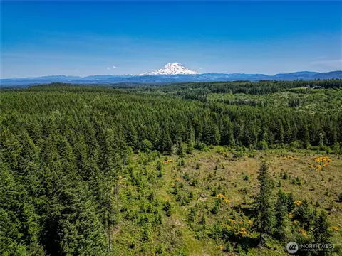 39507 18th Ave E, Roy, WA 98580 photo 3
