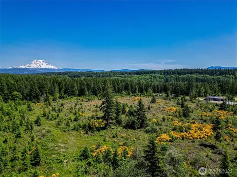 39507 18th Ave E, Roy, WA 98580 photo 2