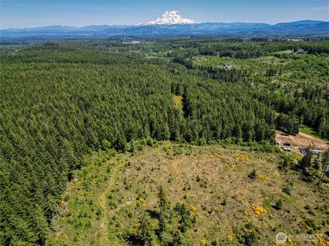 39507 18th Ave E, Roy, WA 98580 photo 8