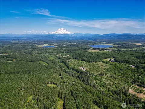 39507 18th Ave E, Roy, WA 98580 photo 7