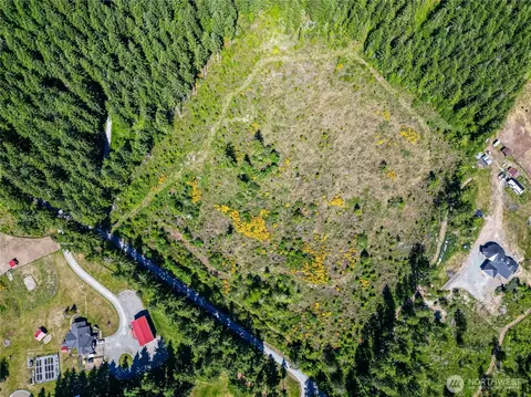 39507 18th Ave E, Roy, WA 98580 photo 27