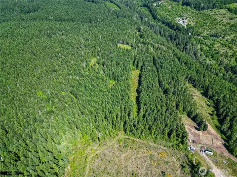 39507 18th Ave E, Roy, WA 98580 photo 28