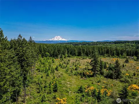 39507 18th Ave E, Roy, WA 98580