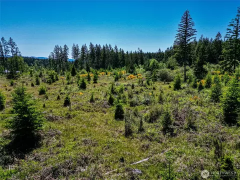 39507 18th Ave E, Roy, WA 98580 photo 20