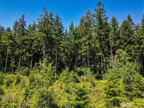39507 18th Ave E, Roy, WA 98580 photo 23