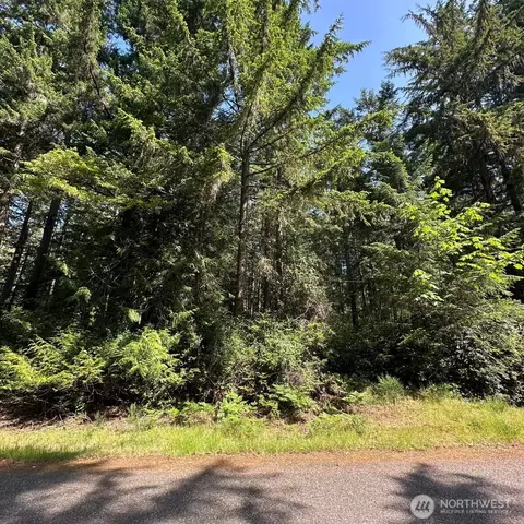 11311 115th St, Anderson Island, WA 98303