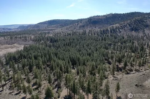 0 Nhn Washington Creek Rd, Chelan, WA 98816