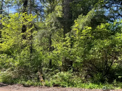 193 Paradise Dr, Eatonville, WA 98328