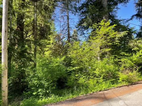 195 Paradise Dr, Eatonville, WA 98328