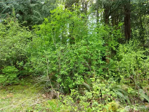 0 River Rd, Brinnon, WA 98320 photo 5