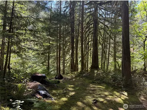 0 E L 139 E Cascade Dr, Marblemount, WA 98267
