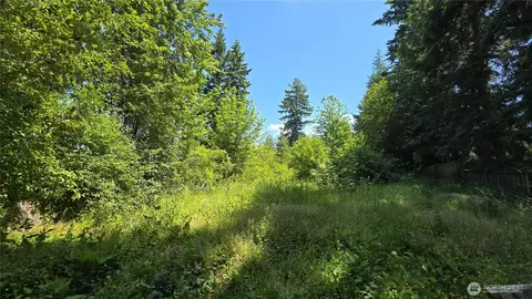 32919 82nd Ave S, Roy, WA 98580
