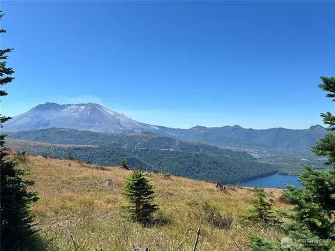 0 Spirit Lake Hwy, Skamania, WA 98648