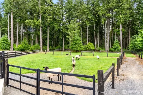 335 Brown Rd, Chehalis, WA 98532 photo 24