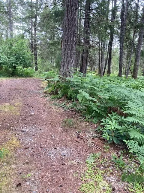 40 N Silver Ln, Hoodsport, WA 98548
