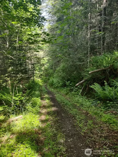 0 Hansen Rd, Port Angeles, WA 98363
