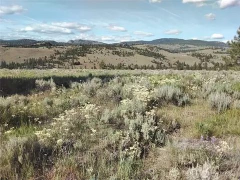 0 Siwash Creek Rd, Tonasket, WA 98855