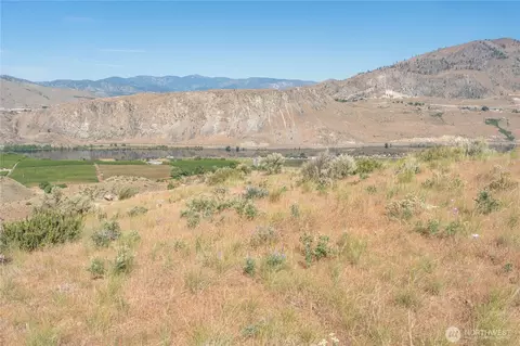 0 Tract 6 Mcneil Canyon Rd, Orondo, WA 98816