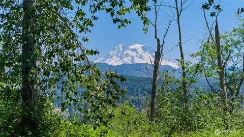 380 Dow Ridge Dr N, Eatonville, WA 98328