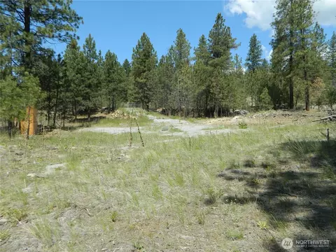 1111 Tbd Cape Labelle Rd, Tonasket, WA 98855