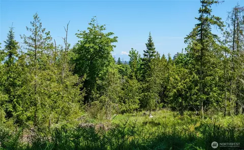 0 Little Loop Dr, Port Angeles, WA 98362