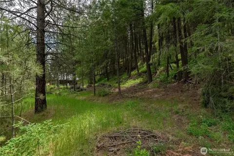 7 Howerton Rd, Twisp, WA 98856 photo 13