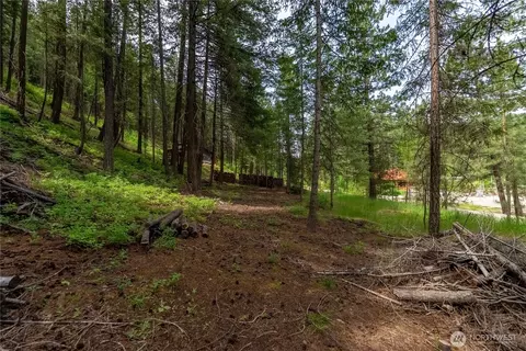 7 Howerton Rd, Twisp, WA 98856