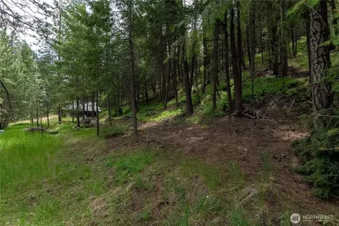 7 Howerton Rd, Twisp, WA 98856 photo 6