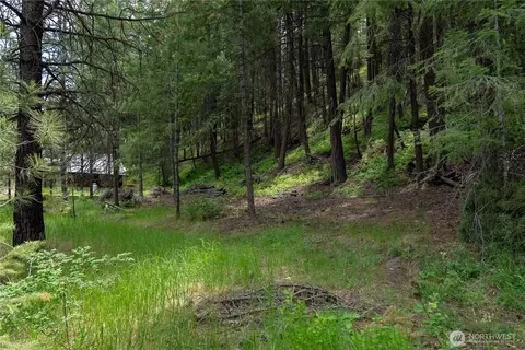 7 Howerton Rd, Twisp, WA 98856 photo 8