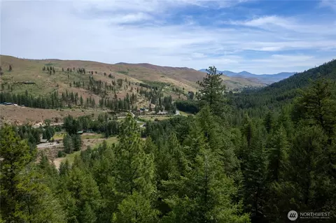 7 Howerton Rd, Twisp, WA 98856 photo 23
