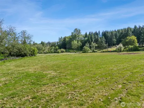 0 Ferrier Rd, Winlock, WA 98596 photo 7