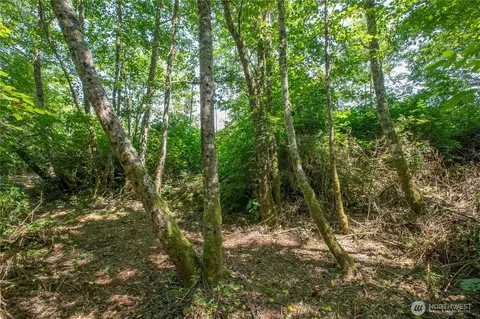 0 Nnn Lake Mastie Rd, Coupeville, WA 98239