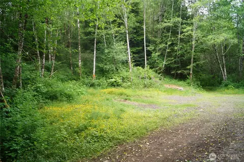 0 Off Of Panhandle Rd, Hoquiam, WA 98550