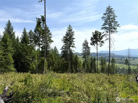 0 Rockabye Ln, Curlew, WA 99118