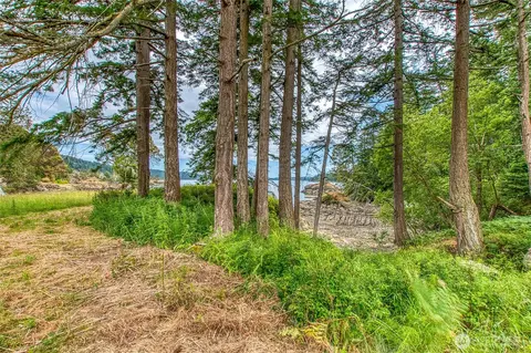 Exterior - 3388 Deer Harbor Rd, Orcas Island, WA 98243 photo 6 of 12